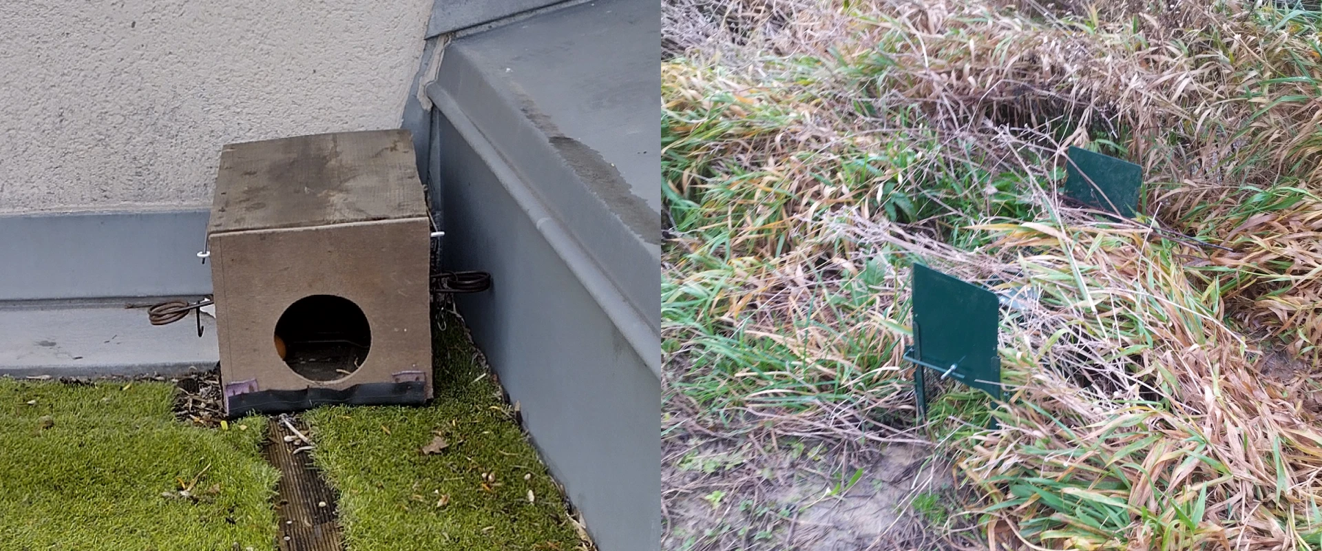 Rd 3d Deratiseur Caen Slider 3 2