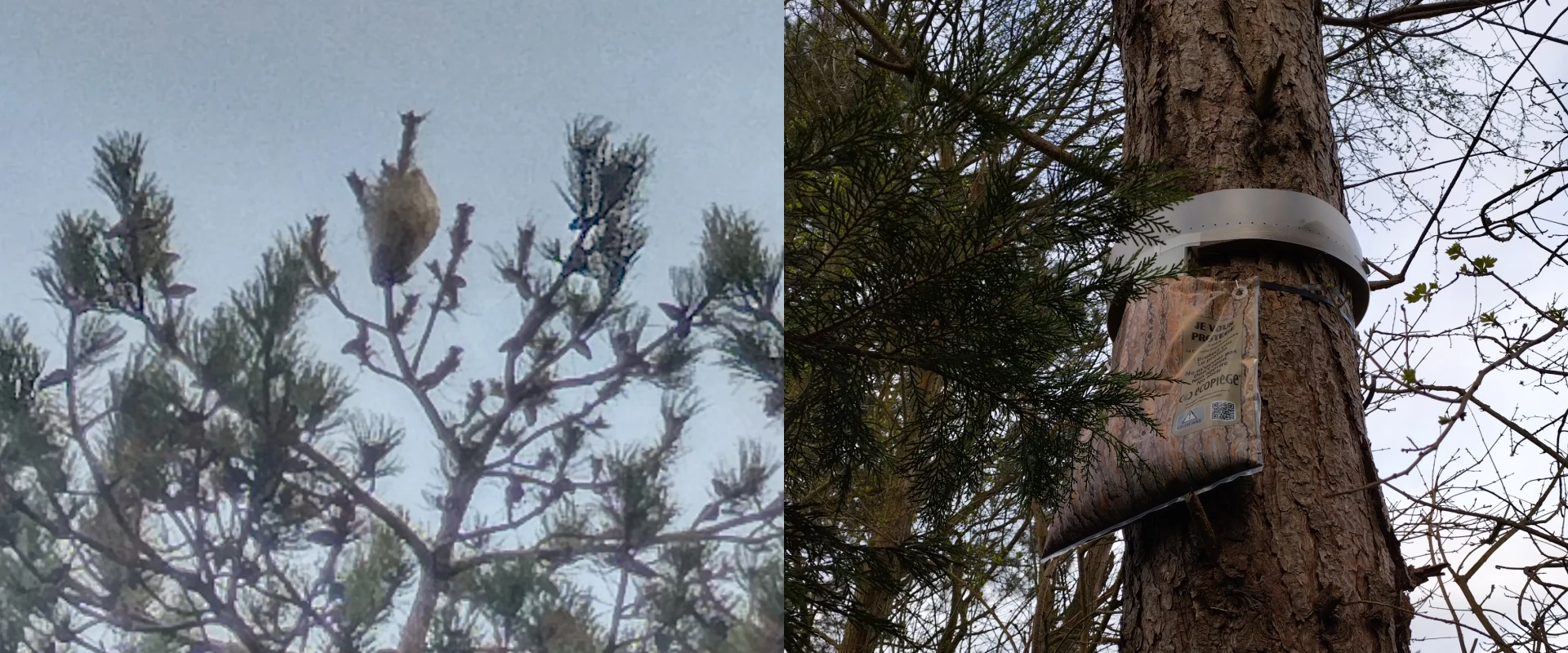 Rd 3d Deratiseur Caen Slider